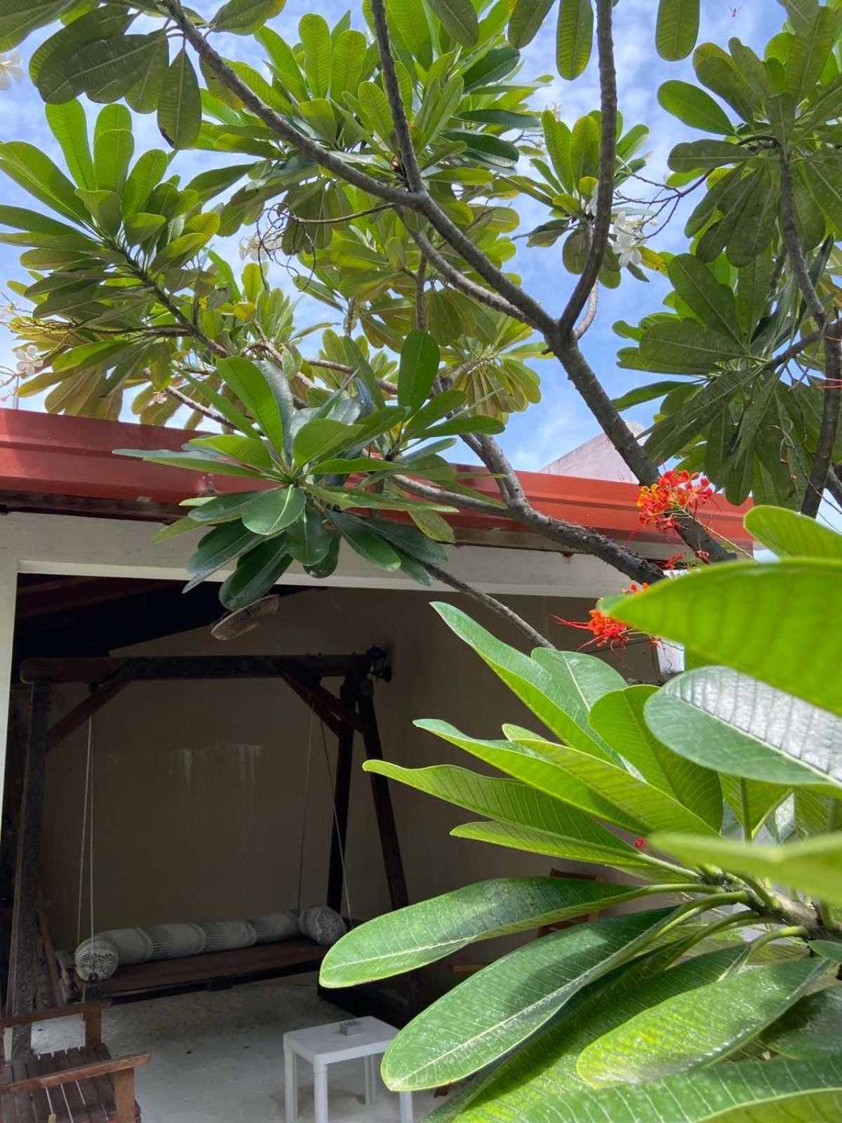 Cerulean View Residence Hanimaadhoo Island Exterior photo