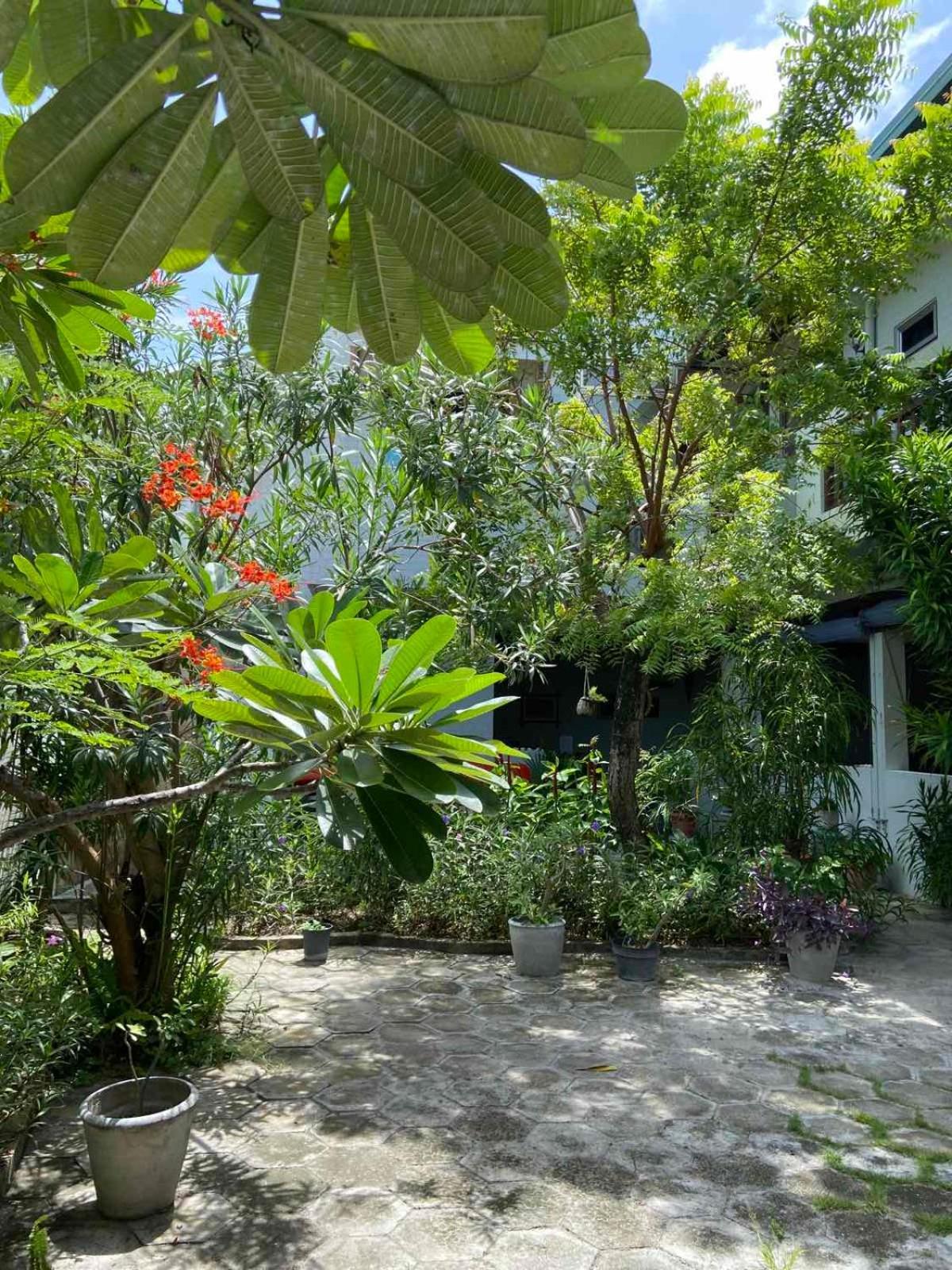 Cerulean View Residence Hanimaadhoo Island Exterior photo