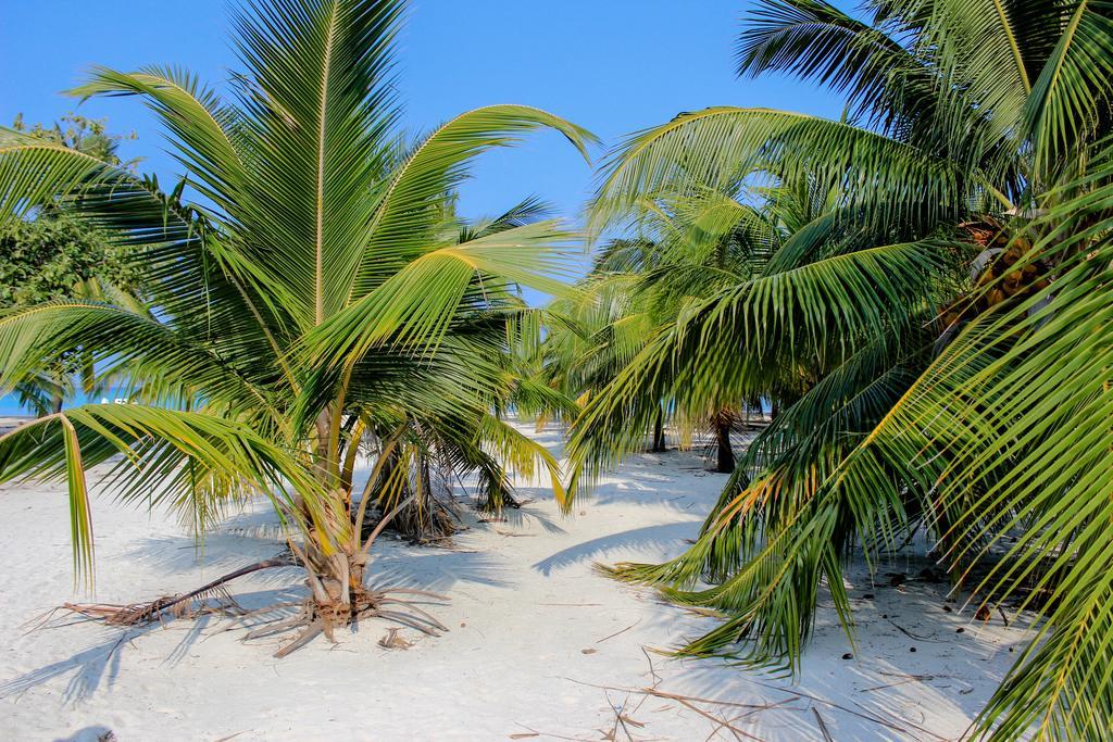 Cerulean View Residence Hanimaadhoo Island Exterior photo